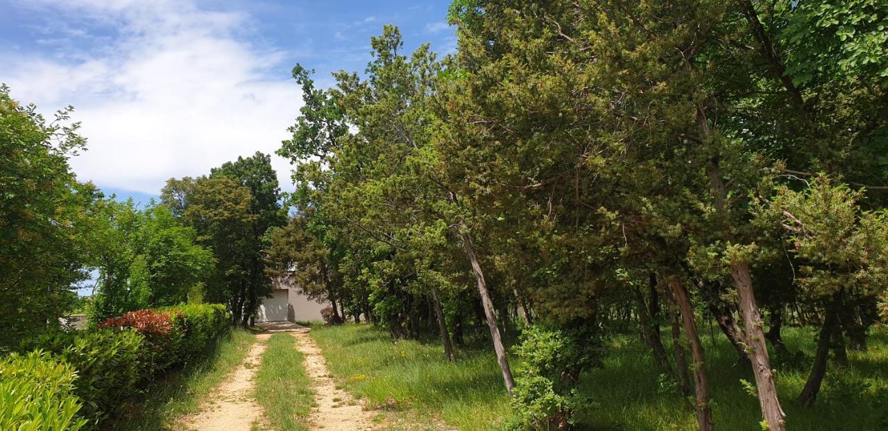 Apartments Valeria Divšići Εξωτερικό φωτογραφία
